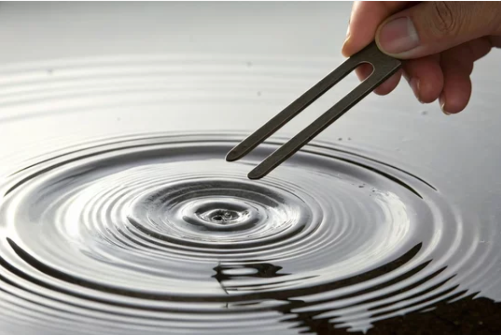 1 Hour Combined Therapy Session